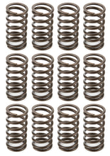 Cargar imagen en el visor de la galería, Inner Valve Spring Set .855 OD 12pk