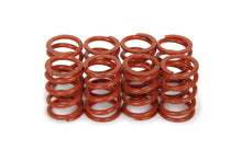 Load image into Gallery viewer, Iskenderian 1.095 Valve Spring Set Outer (8pk)