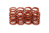 1.095 Valve Spring Set Outer (8pk)