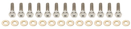 Keizer Aluminum Wheels 10in Beadlock Bolt Kit Titanium