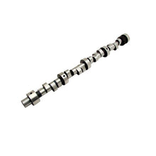 Load image into Gallery viewer, Pontiac V8 Hyd Roller Camshaft RF-V294HR10