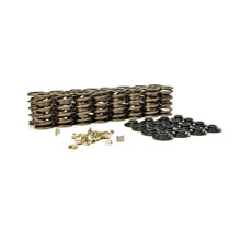 Cargar imagen en el visor de la galería, Lunati1.510 Valve Spring &amp; Retainer Kit