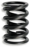 Lunati 1.500in Valve Springs