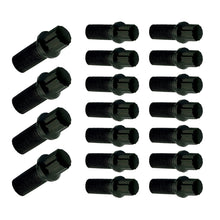 Cargar imagen en el visor de la galería, Moroso Oil Pan Bolt Kit - SBC