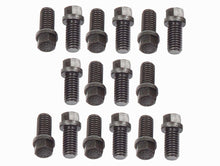 Cargar imagen en el visor de la galería, Mr Gasket Header Bolts 16 Per Set