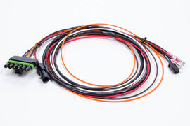 MSD Wiring Harness