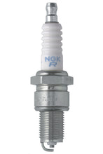 Load image into Gallery viewer, NGK NGK Spark Plug Stock # 3923