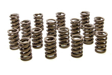 Load image into Gallery viewer, 1.260 Single Valve Springs w/Damper - (16)