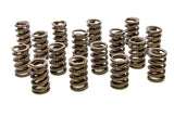 1.260 Single Valve Springs w/Damper - (16)