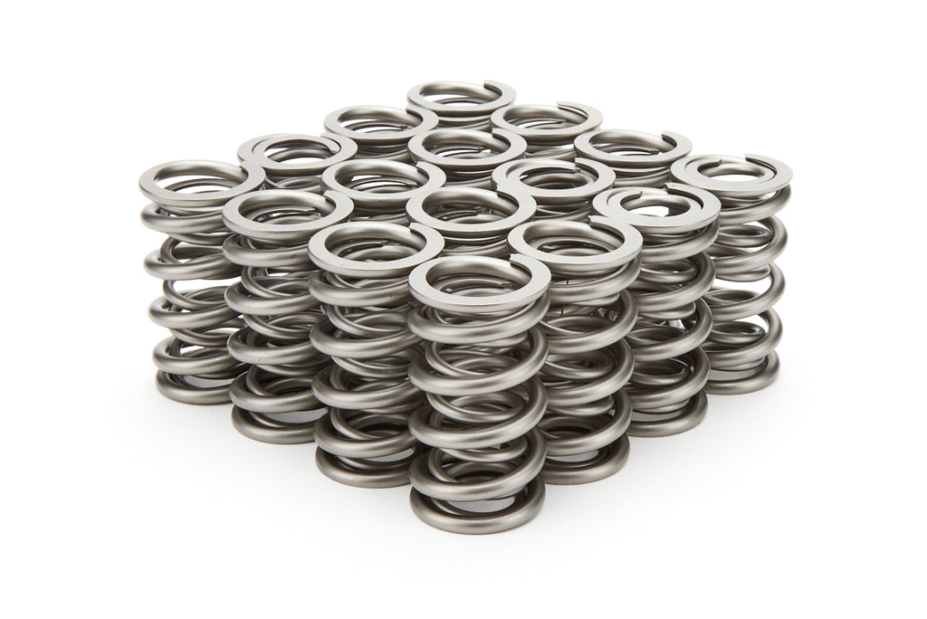 1.304 Dual Valve Springs - RPM Series (16)