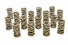 Cargar imagen en el visor de la galería, Resortes de válvula doble PAC Racing Springs 1.290 - Serie RPM (16)