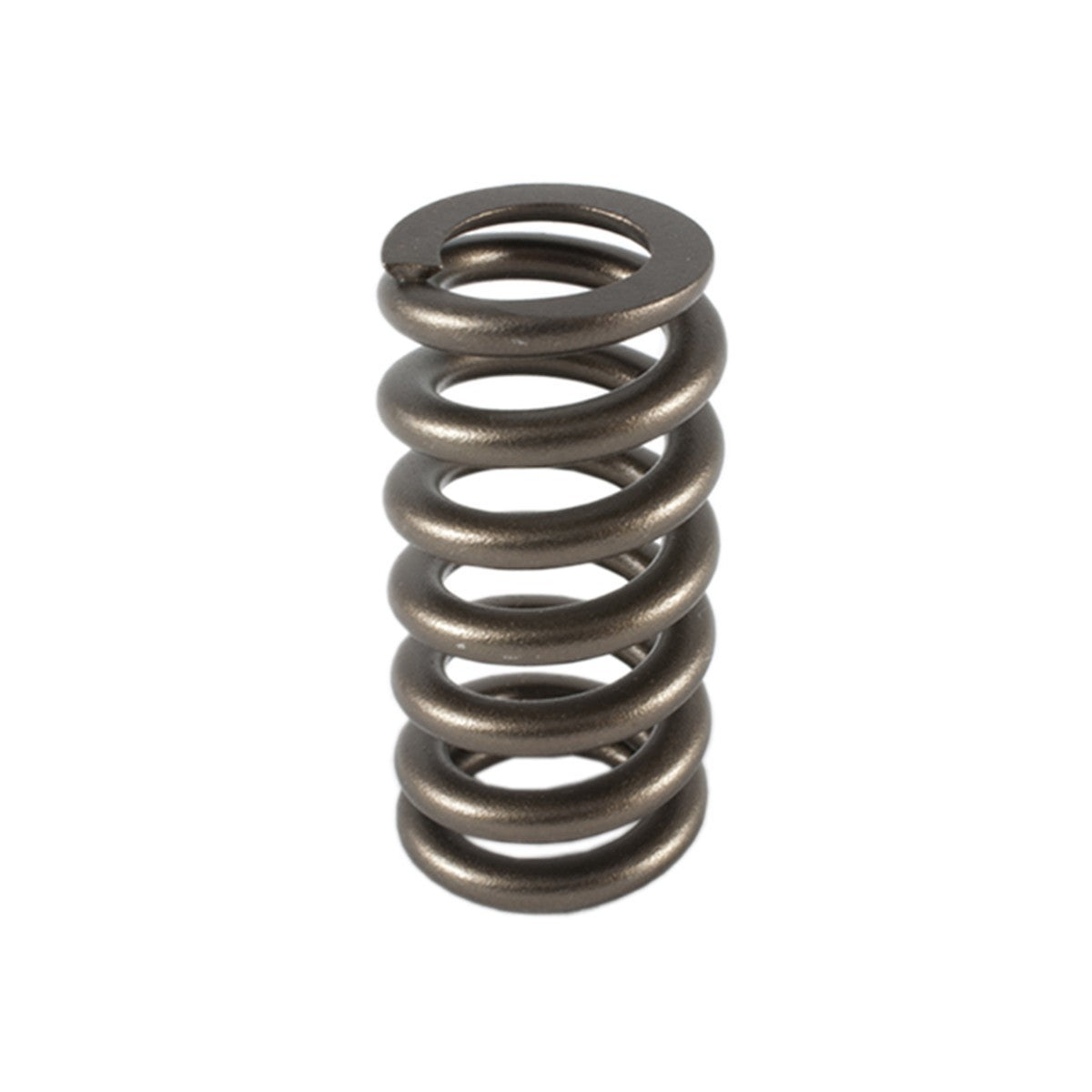 PAC Racing Springs 1.307 Valve Spring - Ovate Beehive (1)