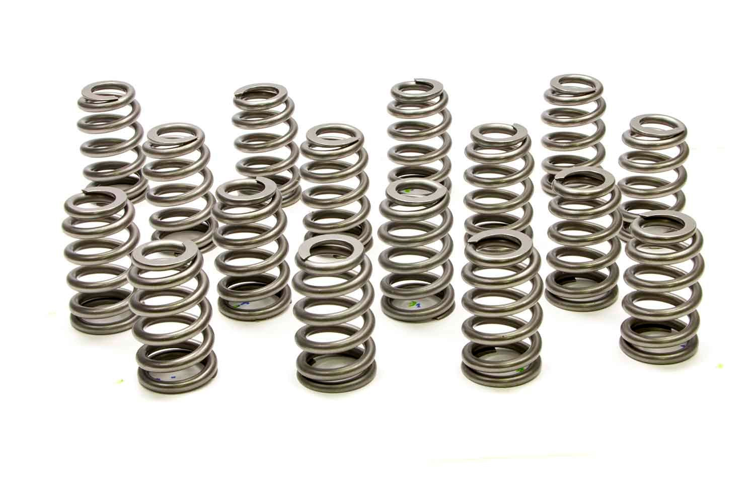 PAC Racing Springs 1.307 Valve Springs - Ovate Beehive (16)