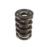 Resortes de válvula doble PAC Racing Springs 1.550 - (16)