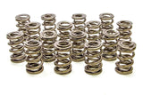 1.625 Dual Valve Springs - (16)