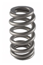 Cargar imagen en el visor de la galería, Resorte de válvula PAC Racing Springs 1.345 - Ovate Beehive