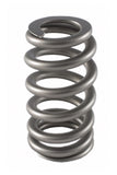 Resorte de válvula PAC Racing Springs 1.345 - Ovate Beehive