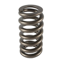 Cargar imagen en el visor de la galería, Resorte de válvula PAC Racing Springs 1.025 - Ovate Beehive