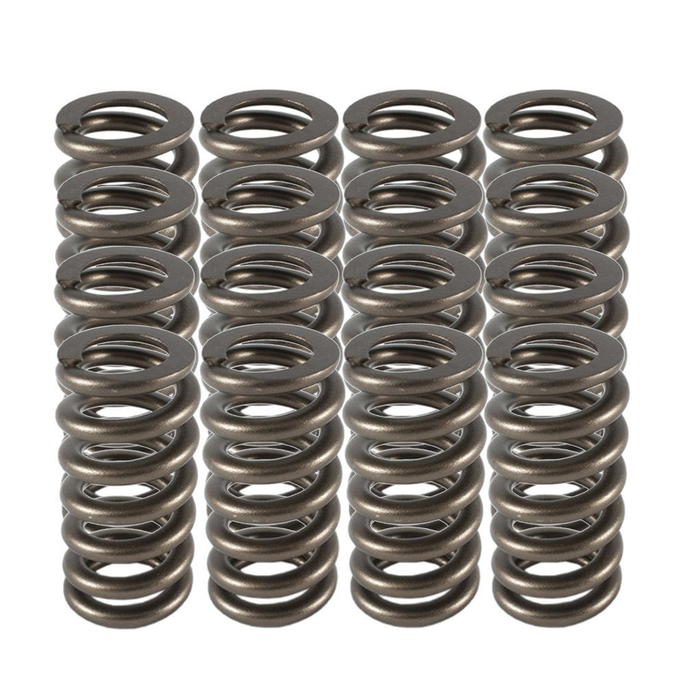 PAC Racing Springs 1.025 Valve Springs - Ovate Beehive (16)