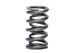 Resortes de válvula doble PAC Racing Springs 1.274 GM LS