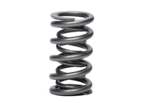 Cargar imagen en el visor de la galería, Resortes de válvula doble PAC Racing Springs 1.274 GM LS