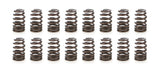 1.282 Valve Springs - Ovate Beehive (16)