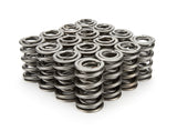 1.550 Dual Valve Springs - (16)