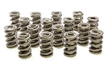 Resortes de válvula doble PAC Racing Springs 1.550 - (16)