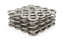 Load image into Gallery viewer, 1.625 Dual Valve Springs - (16)