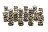 Resortes de válvula doble PAC Racing Springs 1.514 (16)