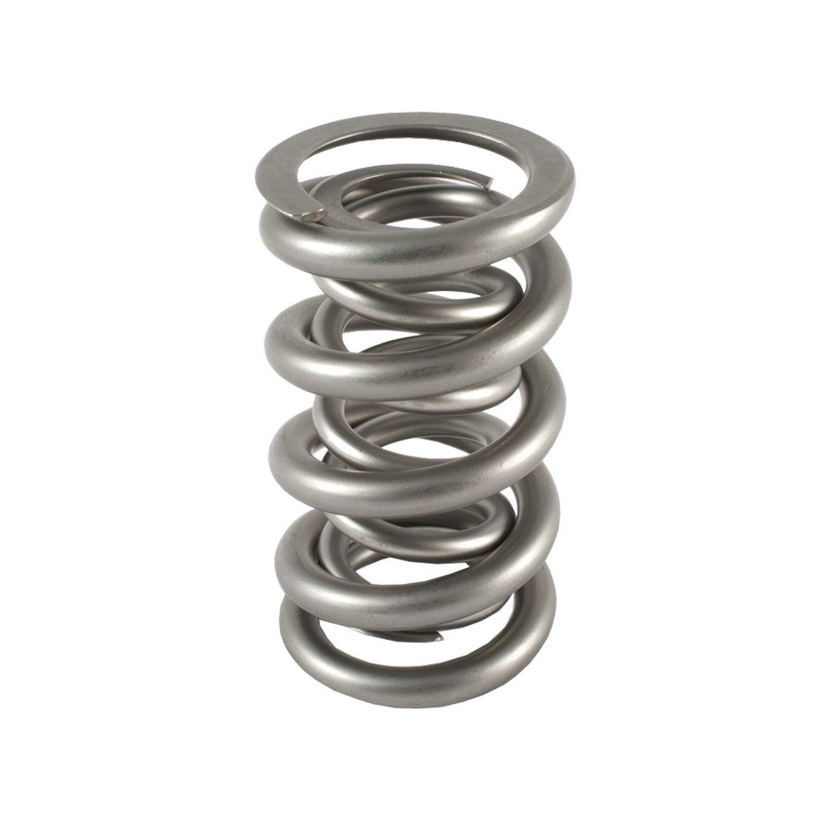 PAC Racing Springs 1.300 Dual Valve Spring (1)