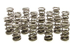 Resortes de válvula doble PAC Racing Springs 1.500 - (16)