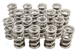 1.536 Dual Valve Springs (16)