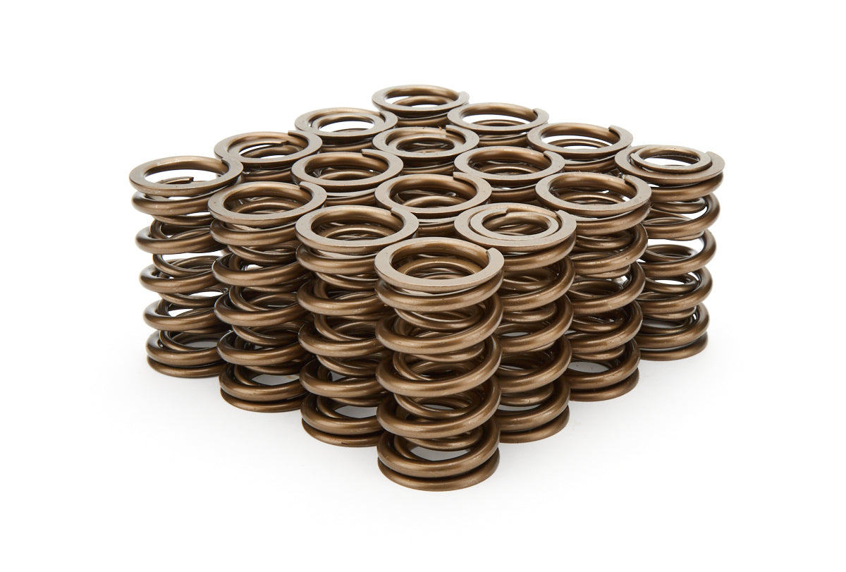 PAC Racing Springs 1.374 Dual Valve Springs (16)