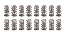 Load image into Gallery viewer, 1.430 Dual Valve Spring Set 16pk