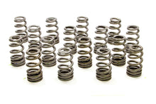 Load image into Gallery viewer, 1.250 Valve Springs - Ovate Beehive (16)