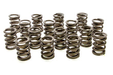 Cargar imagen en el visor de la galería, Valve Springs - HR Series (16)