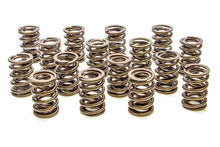 Load image into Gallery viewer, Valve Springs - HR Series (16)