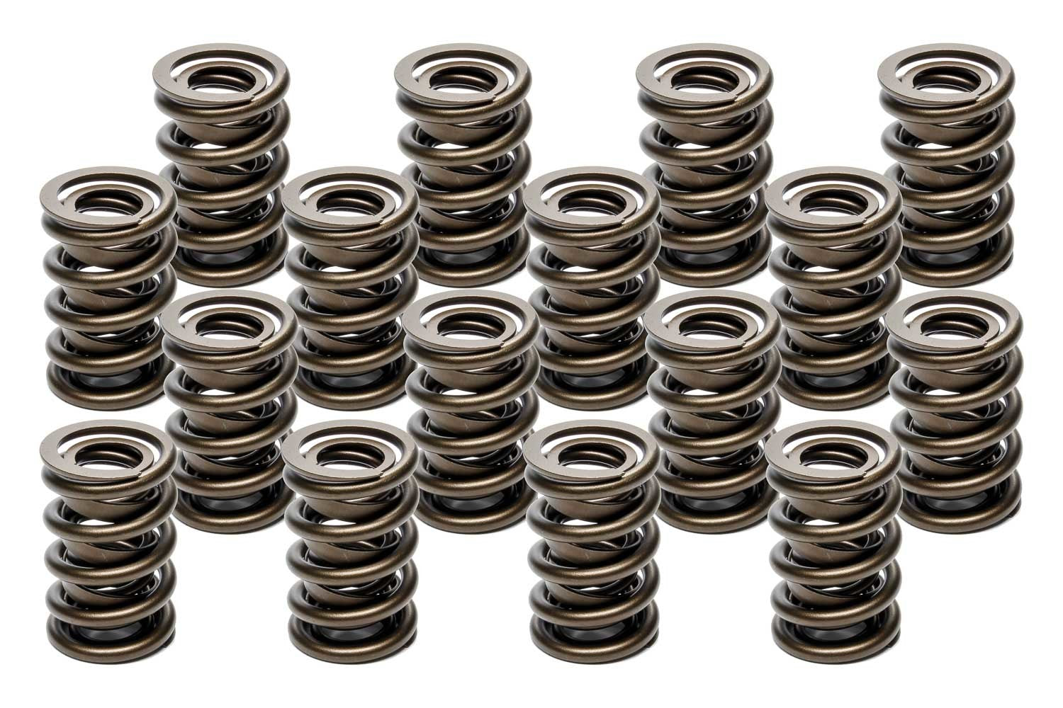 PAC Racing Springs Valve Springs - HR Series (16)