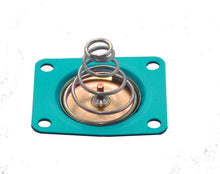 Load image into Gallery viewer, Quick Fuel Technology Diaphragm Kit - Pressure Regulator - Alcohol