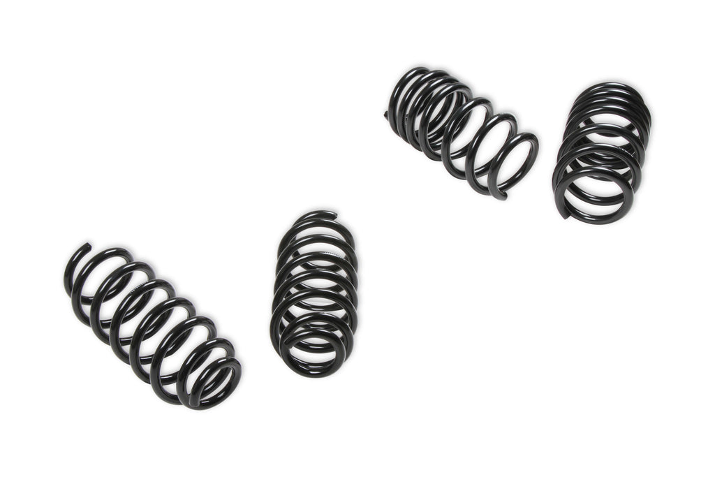 REKUDO 18-20 Tesla Model 3 Drop Springs