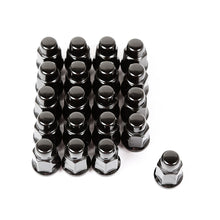 Cargar imagen en el visor de la galería, Wheel Lug Nut  Set of 20 Black  1/2-20