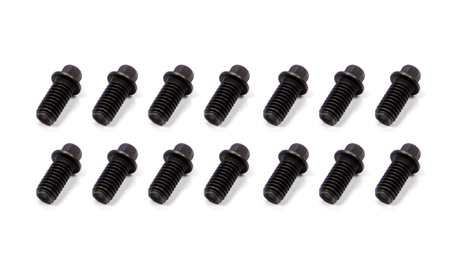 Schoenfeld Headers Header Bolt Kit 3/8-16 x 3/4in — 14 Pack
