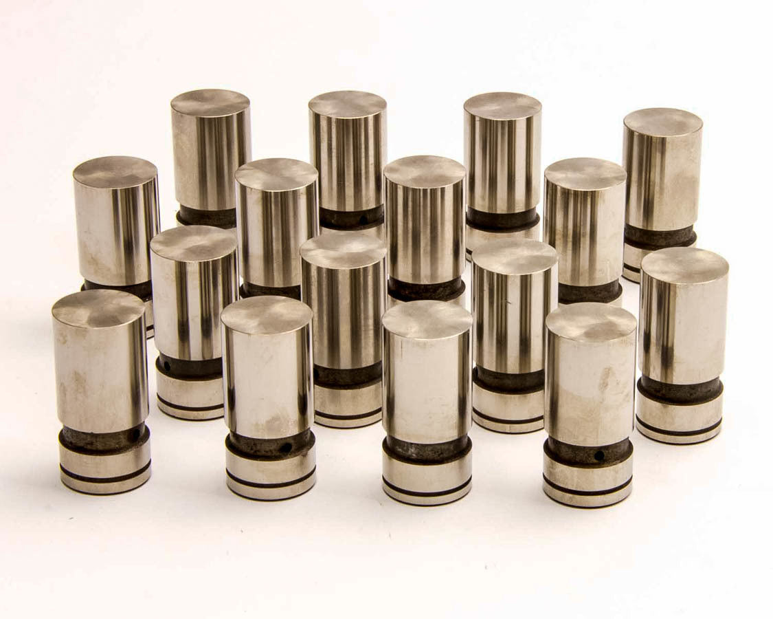 Sealed Power Hydraulic Lifter