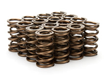 Cargar imagen en el visor de la galería, 1.290 Dual Valve Springs 16pk