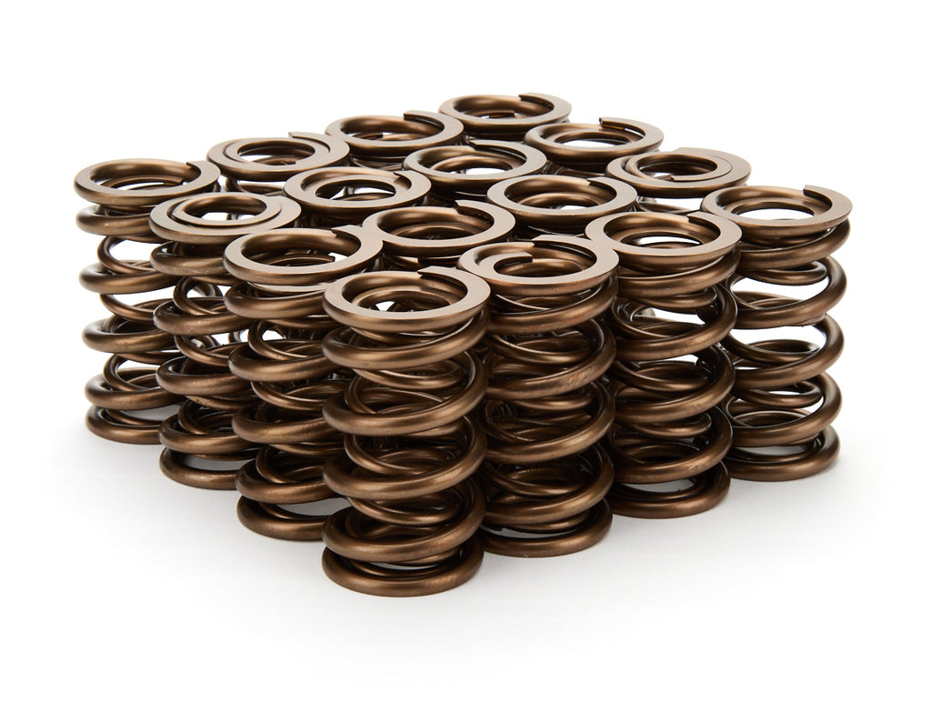 1.290 Dual Valve Springs 16pk