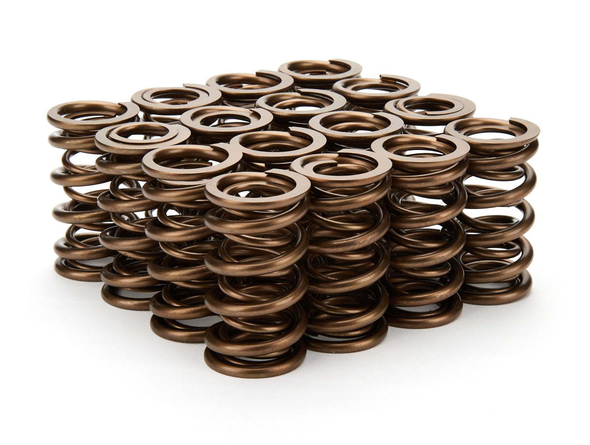 Straub Technologies 1.290 Dual Valve Springs 16pk