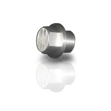 Load image into Gallery viewer, Stainless Works Plug for O2 bung 3/4in