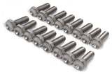 Bead Lock Bolt Kit 16pcs Titanium 1in Long