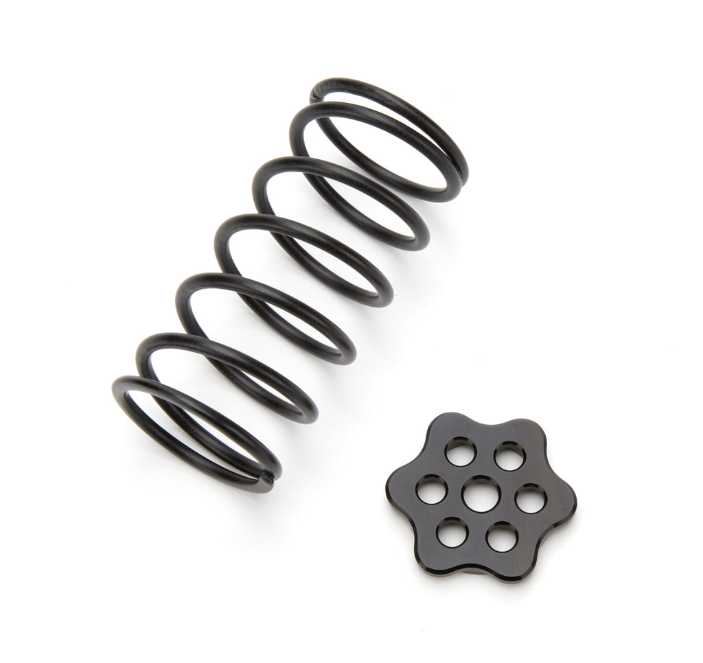 TI22 Performance Master Cylinder Return Spring Black Steel Kit